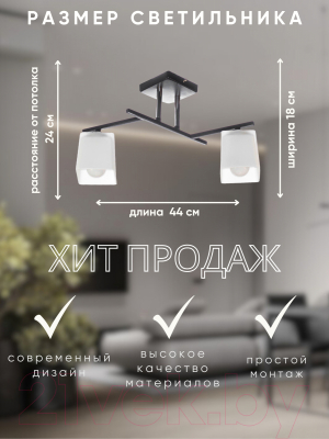 Потолочный светильник Aitin-Pro НПБ 02-2x60-101 / N5956/2