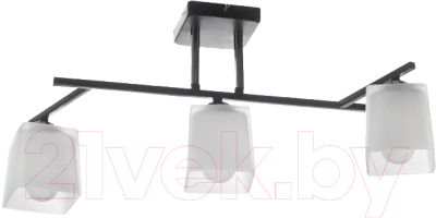 Люстра Aitin-Pro НПБ 02-3x60-101 / N5956/3