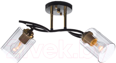 Потолочный светильник Aitin-Pro НПБ 02-2x60-101 / N6001/2 - фото