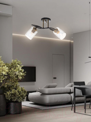 Потолочный светильник Aitin-Pro НПБ 02-2x60-101 / N6001/2