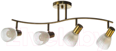 Спот Aitin-Pro НПБ 02-4x60-101 / N6241/4 - фото