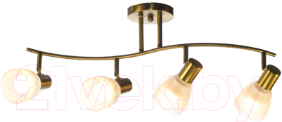 Спот Aitin-Pro НПБ 02-4x60-101 / N6241/4