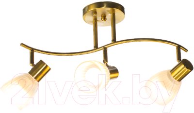 Спот Aitin-Pro НПБ 02-3x60-101 / N6241/3