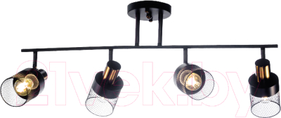 Спот Aitin-Pro НПБ 02-4x60-101 / N6239/4 - фото