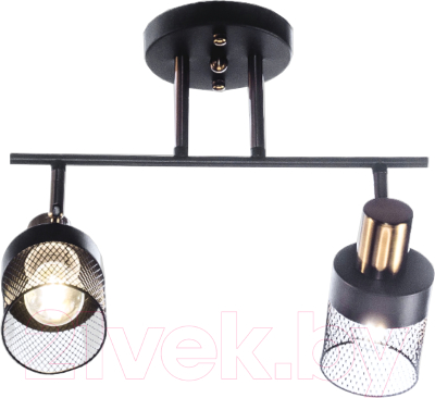 Спот Aitin-Pro НПБ 02-2x60-101 / N6239/2 - фото