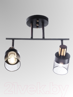 Спот Aitin-Pro НПБ 02-2x60-101 / N6239/2