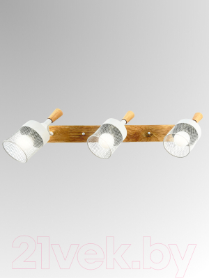 Спот Aitin-Pro НПБ 02-3x60-102 / N6235/3