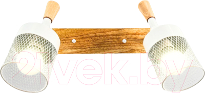 Спот Aitin-Pro НПБ 02-2x60-102 / N6235/2 - фото