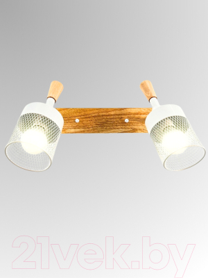 Спот Aitin-Pro НПБ 02-2x60-102 / N6235/2