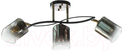 Люстра Aitin-Pro НПБ 02-3x60-101 / N6212/3 - фото