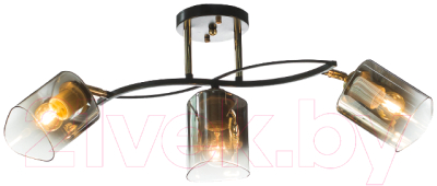 Люстра Aitin-Pro НПБ 02-3x60-101 / N6212/3