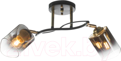 Спот Aitin-Pro НПБ 02-2x60-101 / N6212/2 - фото