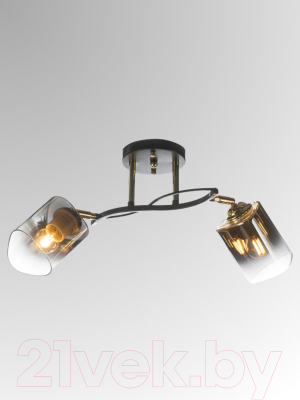 Спот Aitin-Pro НПБ 02-2x60-101 / N6212/2