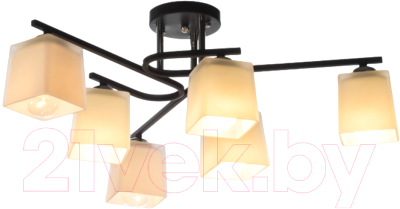 Люстра Aitin-Pro НПБ 02-6x60-101 / N6194/6 - фото