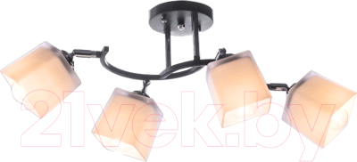 Спот Aitin-Pro НПБ 02-4x60-101 / N6106/4 - фото