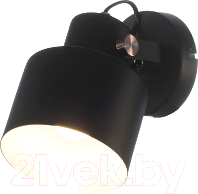 Спот Aitin-Pro НББ 03-40-101 / A6015/1 - фото