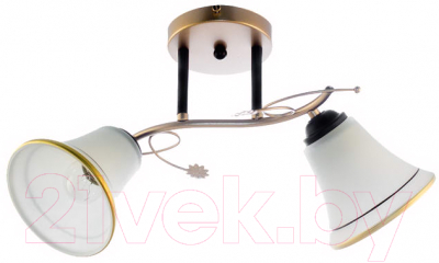 Потолочный светильник Aitin-Pro НПБ 02-2х60-101 / DA5095/2C - фото