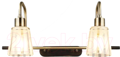 Бра Aitin-Pro НПБ 02-2x60-102 / N3991/2 - фото