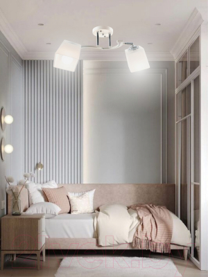 Потолочный светильник Aitin-Pro НПБ 02-2x60-101 / N6107/2