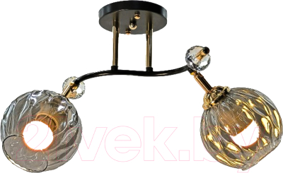 Спот Aitin-Pro НПБ 02-2x60-101 / N5676/2 - фото