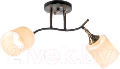 Спот Aitin-Pro НПБ 02-2x60-101 / N6089/2 - фото