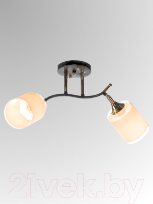 Спот Aitin-Pro НПБ 02-2x60-101 / N6089/2