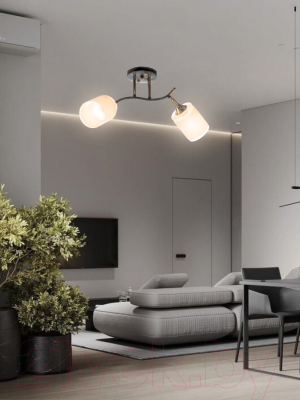 Спот Aitin-Pro НПБ 02-2x60-101 / N6089/2