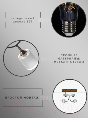 Спот Aitin-Pro НПБ 02-2x60-101 / N6089/2