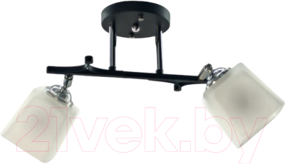 Потолочный светильник Aitin-Pro НПБ 02-2x60-101 / N5488/2 - фото