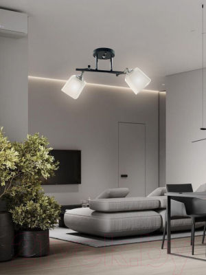 Потолочный светильник Aitin-Pro НПБ 02-2x60-101 / N5488/2