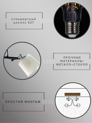 Потолочный светильник Aitin-Pro НПБ 02-2x60-101 / N5488/2