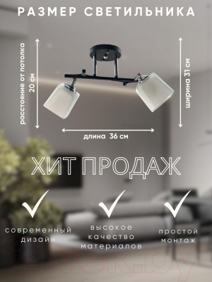 Потолочный светильник Aitin-Pro НПБ 02-2x60-101 / N5488/2