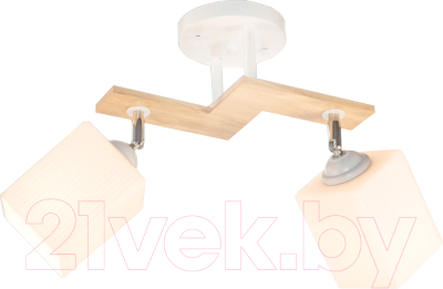 Спот Aitin-Pro НПБ 02-2x60-101 / N5291/2 - фото