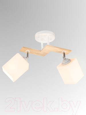 Спот Aitin-Pro НПБ 02-2x60-101 / N5291/2