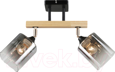 Спот Aitin-Pro НПБ 02-2x60-101 / N5280/2 - фото