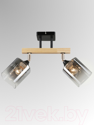 Спот Aitin-Pro НПБ 02-2x60-101 / N5280/2