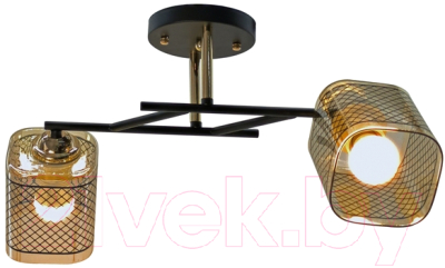 Потолочный светильник Aitin-Pro НПБ 02-2x60-101 / A4130/2 - фото