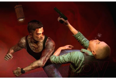 Игра для игровой консоли PlayStation 4 Sleeping Dogs:Definitive Edition