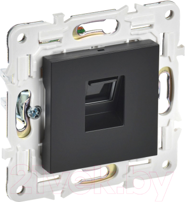 Розетка IEK Skandy SK-K10-1-K02 - фото