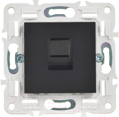 Розетка IEK Skandy SK-K10-1-K02