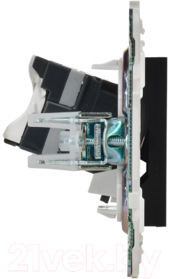 Розетка IEK Skandy SK-K10-1-K02