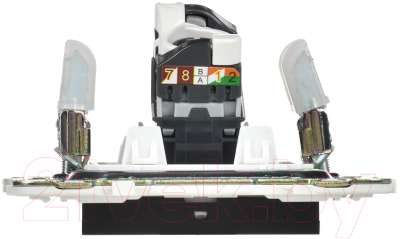 Розетка IEK Skandy SK-K10-1-K02