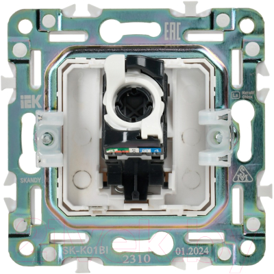Розетка IEK Skandy SK-K10-1-K02