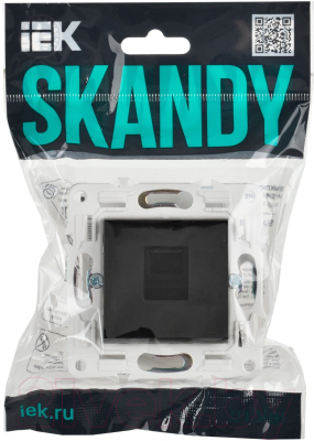 Розетка IEK Skandy SK-K10-1-K02