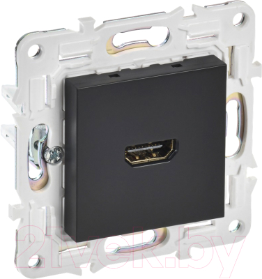 Розетка IEK Skandy SK-H10-K02 - фото