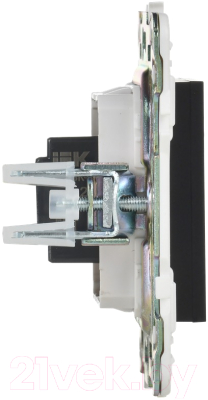 Розетка IEK Skandy SK-H10-K02