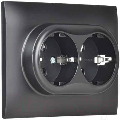 Розетка IEK Skandy SK-R21-16-K02-F