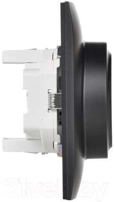 Розетка IEK Skandy SK-R21-16-K02-F