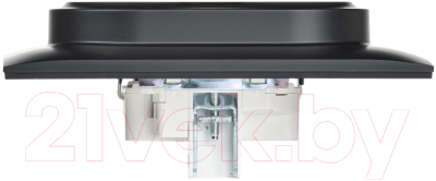 Розетка IEK Skandy SK-R21-16-K02-F