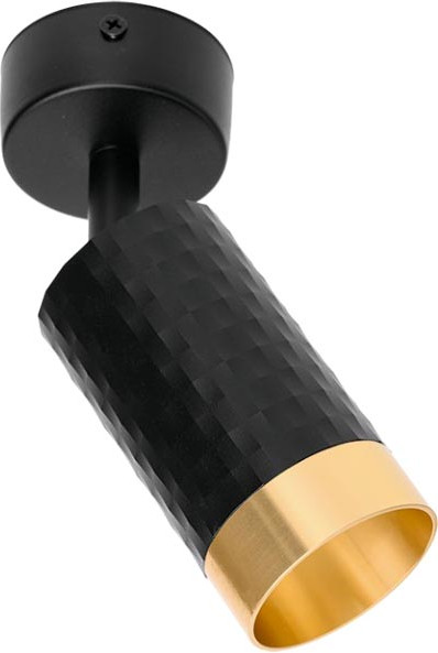 Спот Wolta WSL-GU10/S10BG - фото